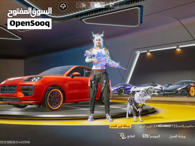 كلشي واضح بل فيديو موجود بل شارقة التعاون