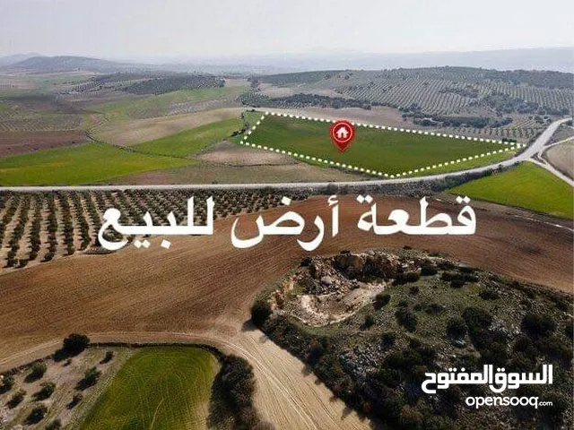 ارض كوشان مستقل في اجمل اراضي بيت ايبا