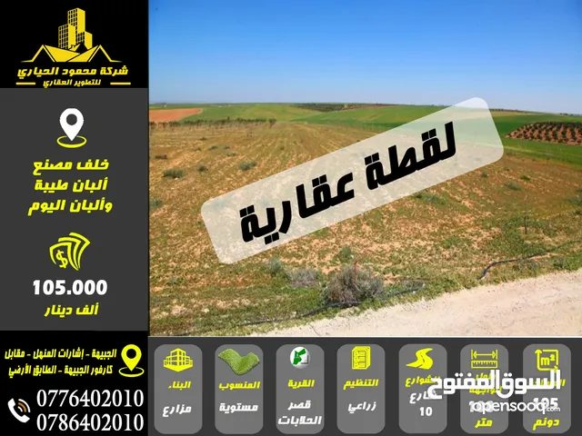 Farm Land for Sale in Zarqa Qasr al-Hallabat Al-Gharbi