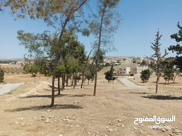 Residential Land for Sale in Amman Airport Road - Manaseer Gs