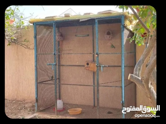 قفص حديد سعر 800 توصيل مجاني داخل طرابلس