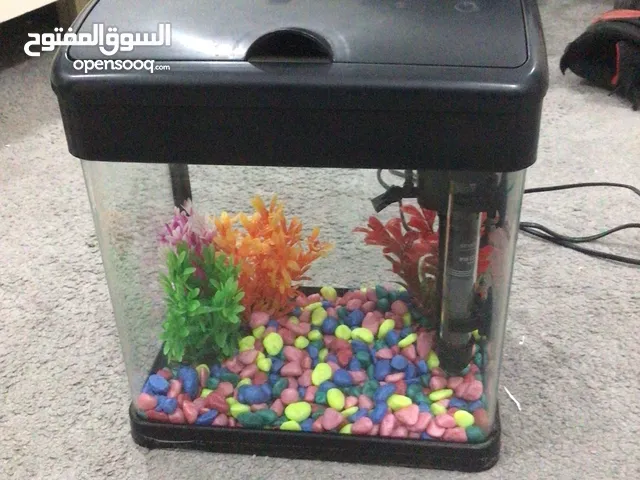 حوض سمك صغير للغرفه او الصاله