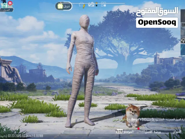 Pubg Accounts and Characters for Sale in Basra