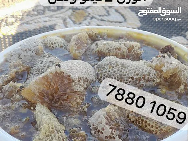 عسل سدر ابو طويق اصلي جبلي قصاص جبل