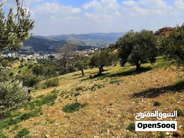 Farm Land for Sale in Amman Other