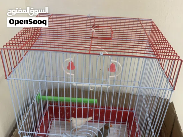 للبيع قفص نضيف