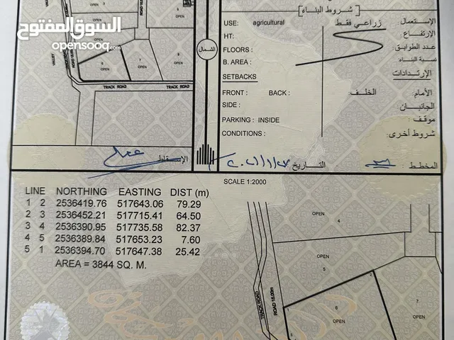 ارض زراعيّة للإستثمار