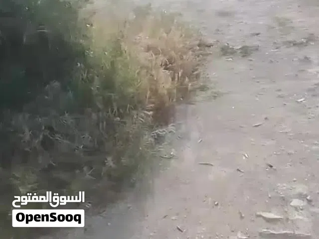 Residential Land for Sale in Mafraq Al-Khalidya