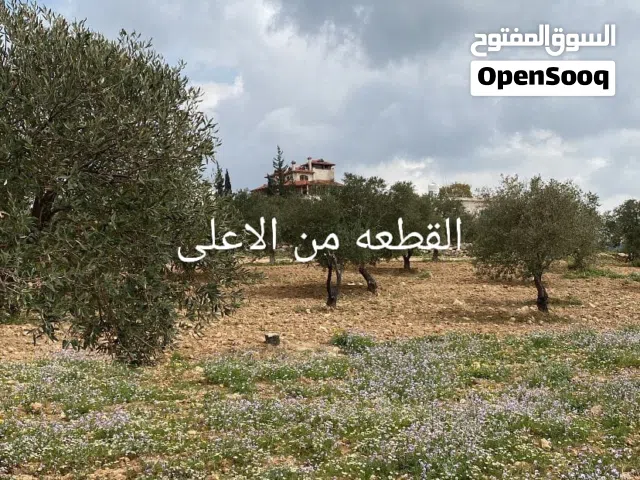 ارض مميزة مجاوره لشاليهات ذو اطلالة فريدة وعالية - جرش