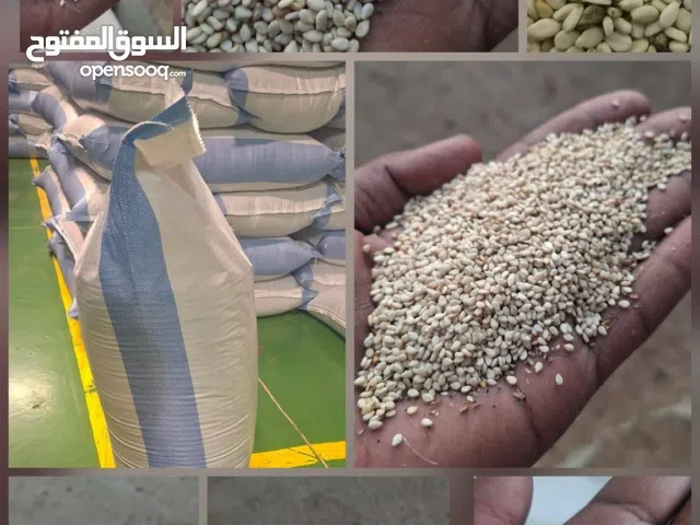 سمسم ابيض درجة أولى قضارف /مواشي سواكني