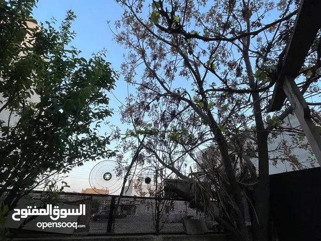 عمارة رقم 1 سعر حرق