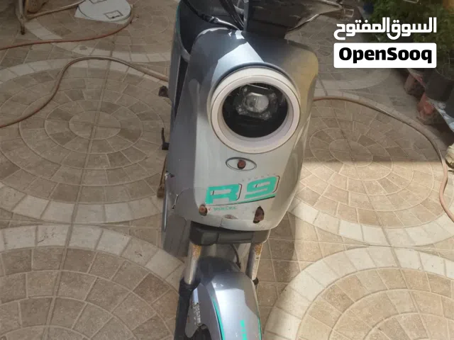 ,دراجة شحن R 9 للبيع
