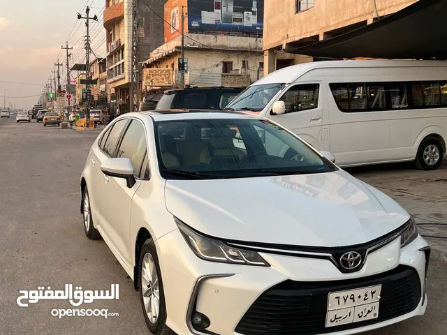 Used Toyota C-HR in Basra