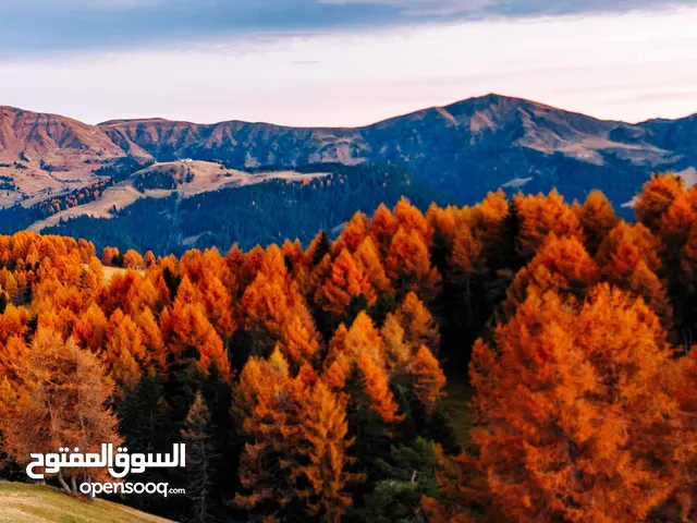 أرض للبيع في شفا بدران حوض مرج الفرس شارعين