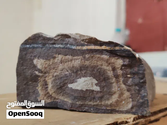 حجر راسبي فيه عدة طبقات