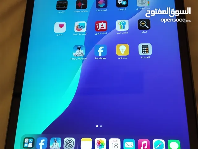 .....ipad Mine 5