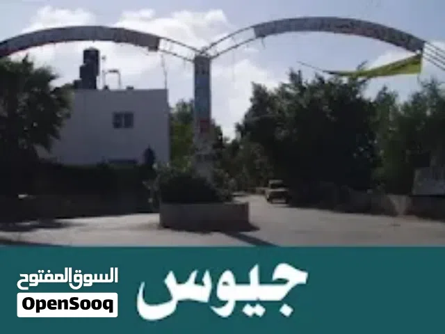 Mixed Use Land for Sale in Qalqilya Other