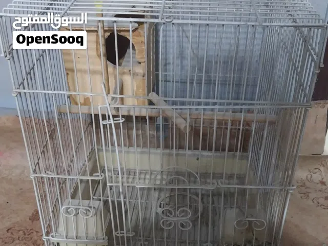 BIRD CAGE FOR SALE!!!