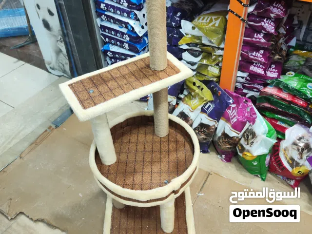 خداشة قطط مع بيت مع العاب مناسبه للي عنده اكثر من قط خشب قوي ومدعم