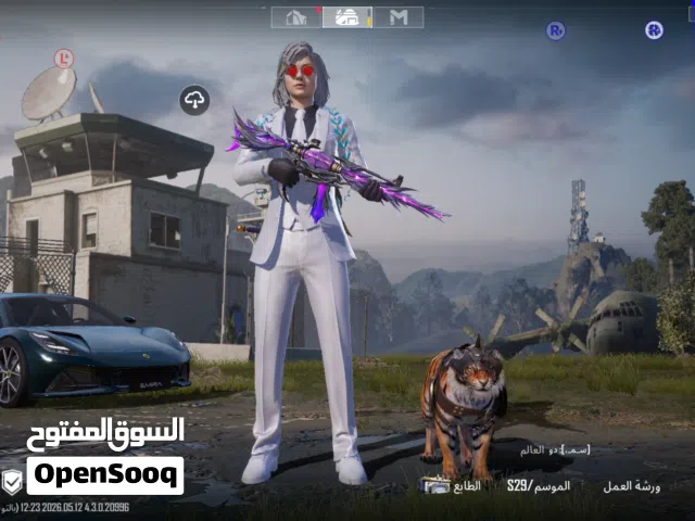 Pubg Accounts and Characters for Sale in Assiut