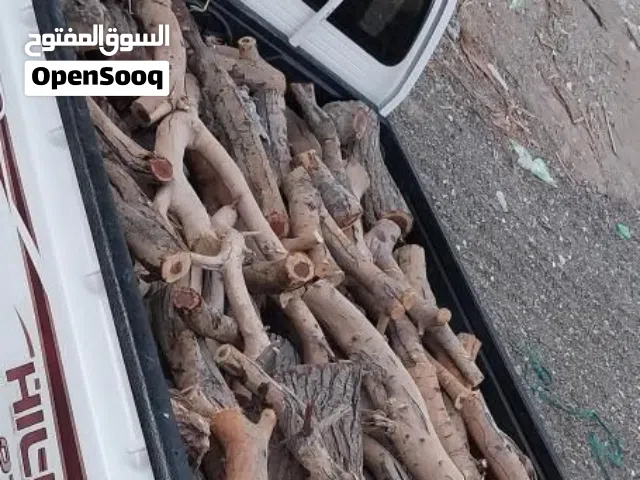 حطب سمر اصلي