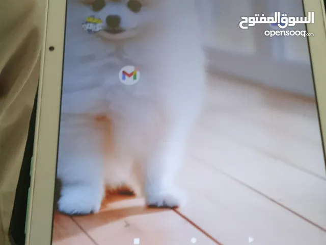 TCL Other 128 GB in Irbid