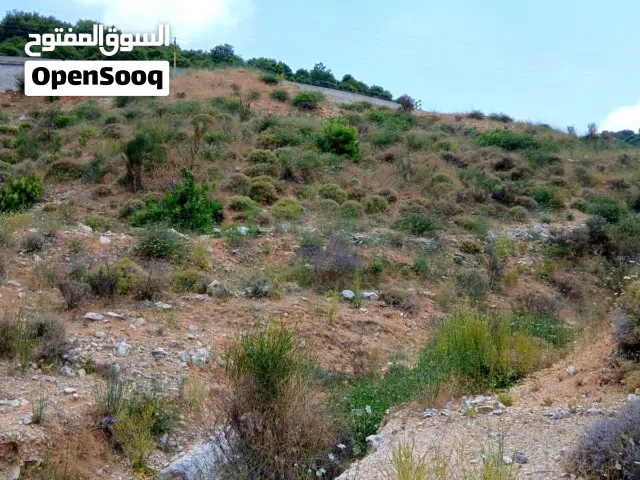 land for sale in Ha'el Jbeil