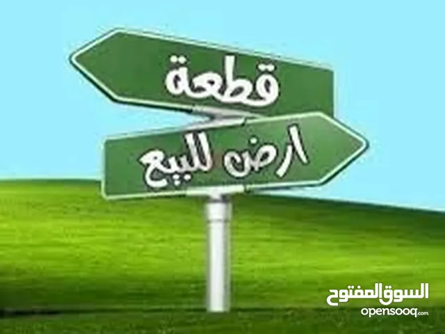 رقم الهاتف