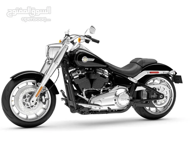 Harley Davidson 1200 Custom 2024 in Basra