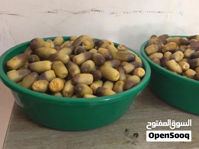 رطب نغال ب مسقط