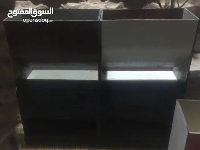 علافات ارانب زوجيه