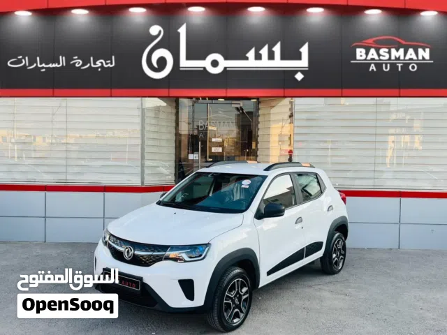 2023, دونج فينج, EX1