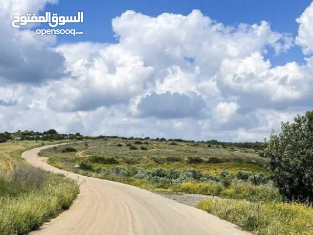 دنم ارض في منطقة صرة