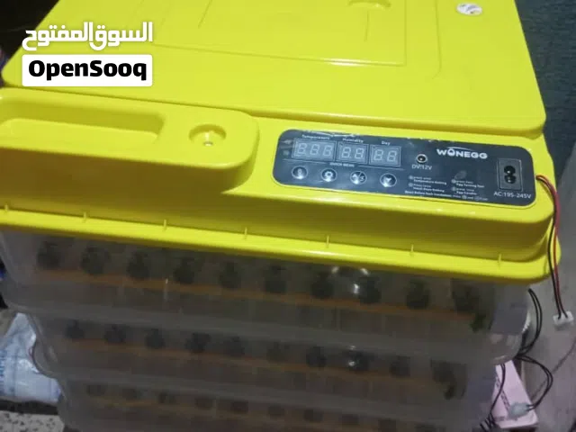 متوفر جميع أنواع الفقاسه الصيني