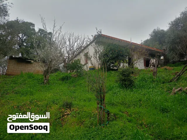 Residential Land for Sale in Skikda Other