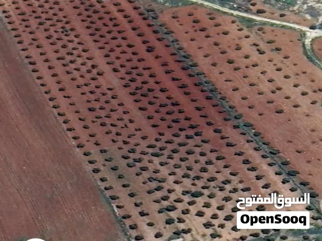 Mixed Use Land for Sale in Jerash Other