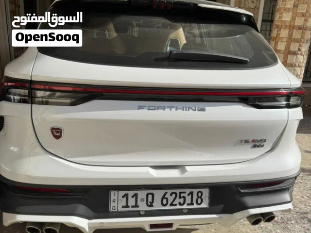 2024 دونج فينج فورثينج T5 Evo