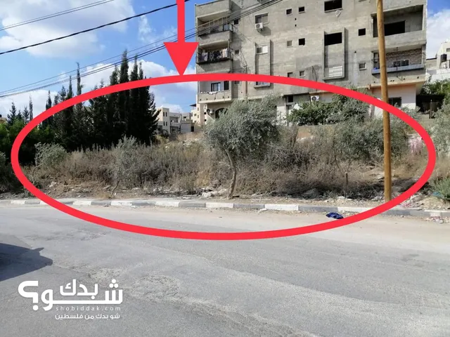 أرض للبيع في عزبة الجراد طولكرم