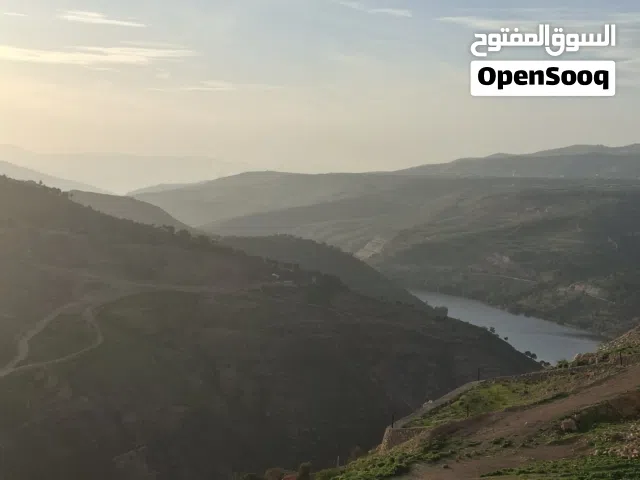 المصطبه جرش