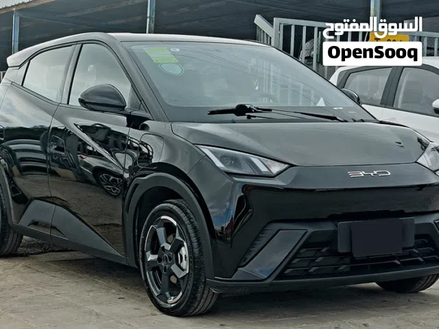 2023, بي واي دي, سيجول