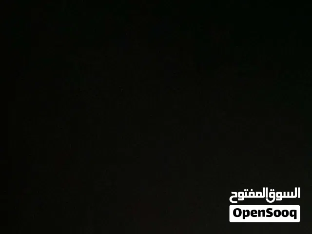مطلوب ببغاء كاسكو ب 150 دينار