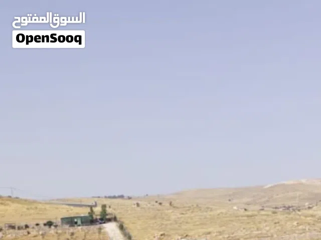 Mixed Use Land for Sale in Mafraq Dahl