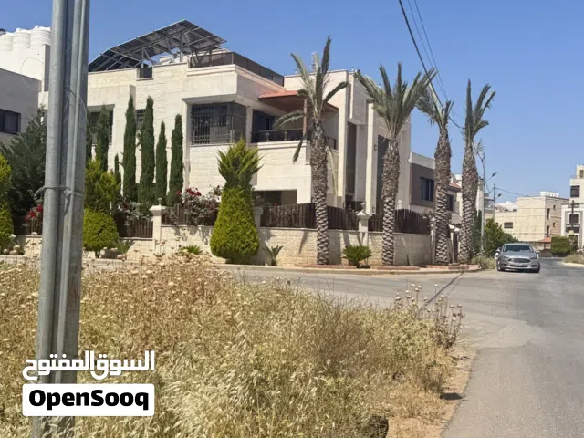 نخيل للبيع