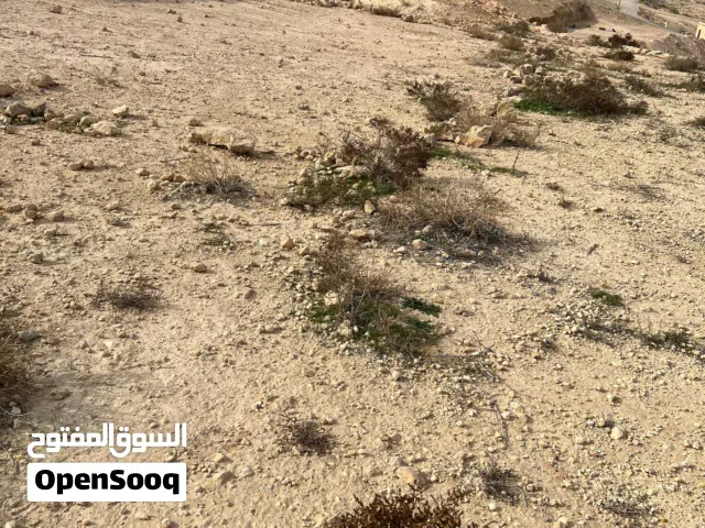 سعر حرق للبيع المستعجل  قطعة أرض مميزة في *أبو الزيغان (رحيل)*، تضعك في قلب الطبيعة
