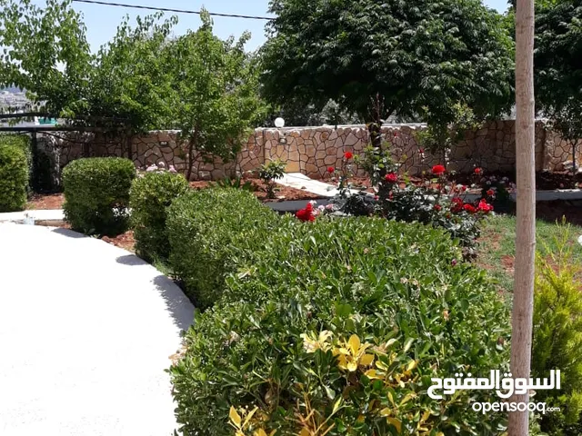 80 m2 1 Bedroom Apartments for Rent in Jerash Other