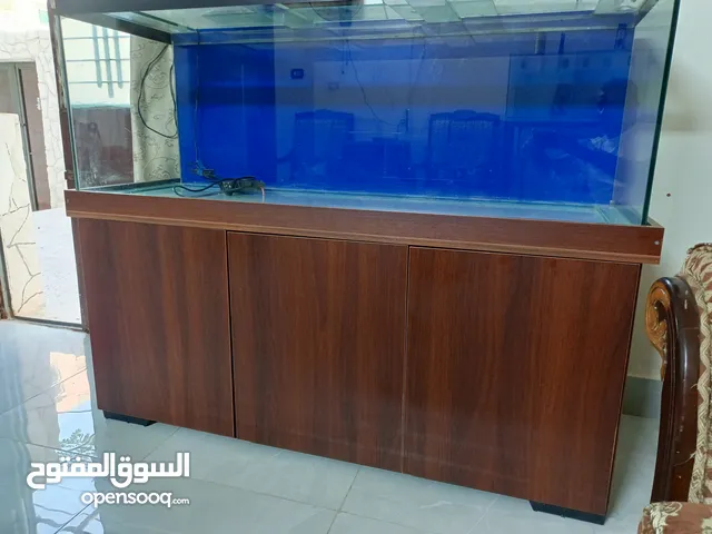 حوض سمك متر ونص مع طاوله. بحال الوكاله