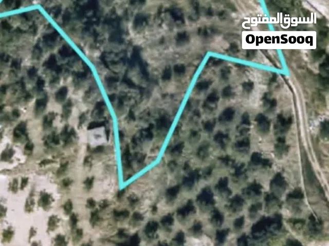 Residential Land for Sale in Nablus Al-Bathan