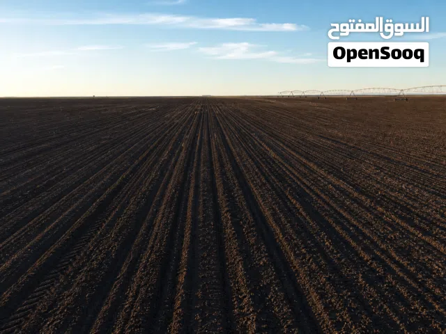 Farm Land for Sale in Alexandria North Coast