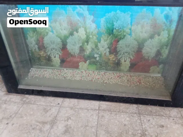 أحواض سمك للبيع