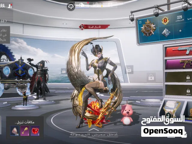 Pubg Accounts and Characters for Sale in Ibb